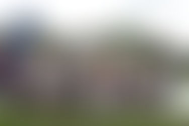 New playgrounds open as City of Newcastle delivers multimillion-dollar investment into recreation needs