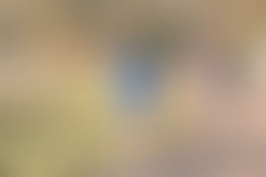 Winter Weekends In Wine Country