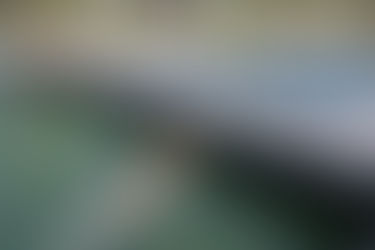 Toronto Baths set to make a splash this spring