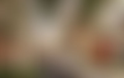 Community invited to have their say on the future of Broadmeadow