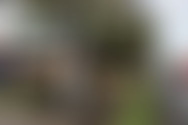 New link to extend safer connections across Newcastle’s cycleway network