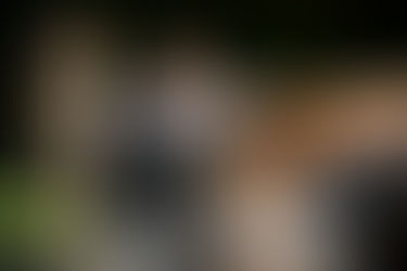 Wild Nights | Sleep Among the Animals at Jamala Wildlife Lodge