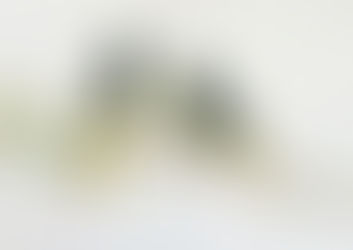 Emerging Artists Making Their Own Way at Lighthouse Arts