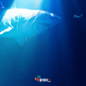 INtouch Square  300pxGIF _ PACC.gif