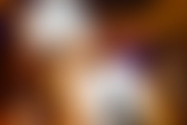 What's On Newcastle, Lake Macquarie, Port Stephens & the Hunter Valley | Spring 2026