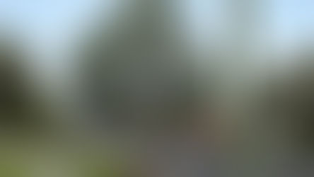 City of Newcastle progresses dual-lane road upgrades in Wallsend