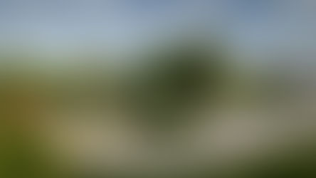 Lord Mayor unveils vision for key link in her Bathers Way project