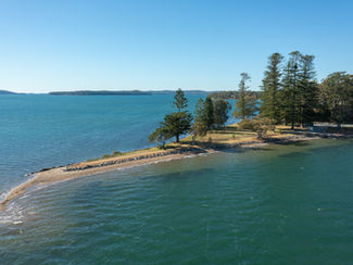 Foreshore rehabilitation partnership gets to the point