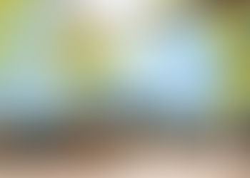 Council highlights achievements in Six Month Progress Report