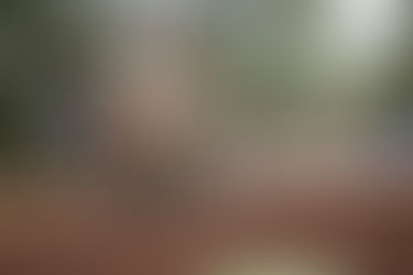 Hop into Fun these Easter School Holidays