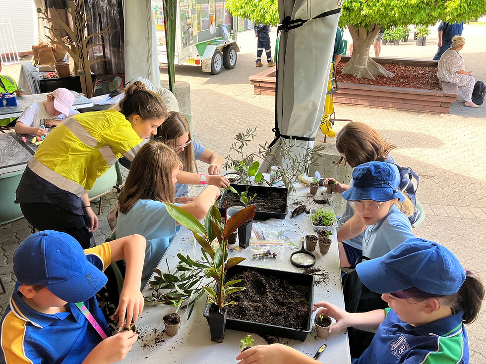 IMAGES: Environmental exhibit at the Hunter Science Festival at Newcastle Museum.
