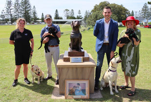 Community paws-itively thrilled as Tessa the guide dog returns home to Stockton