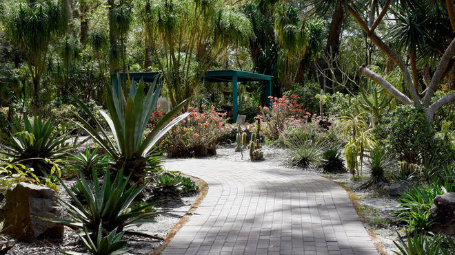 Hunter Region Botanic Gardens Celebrates 40 Years