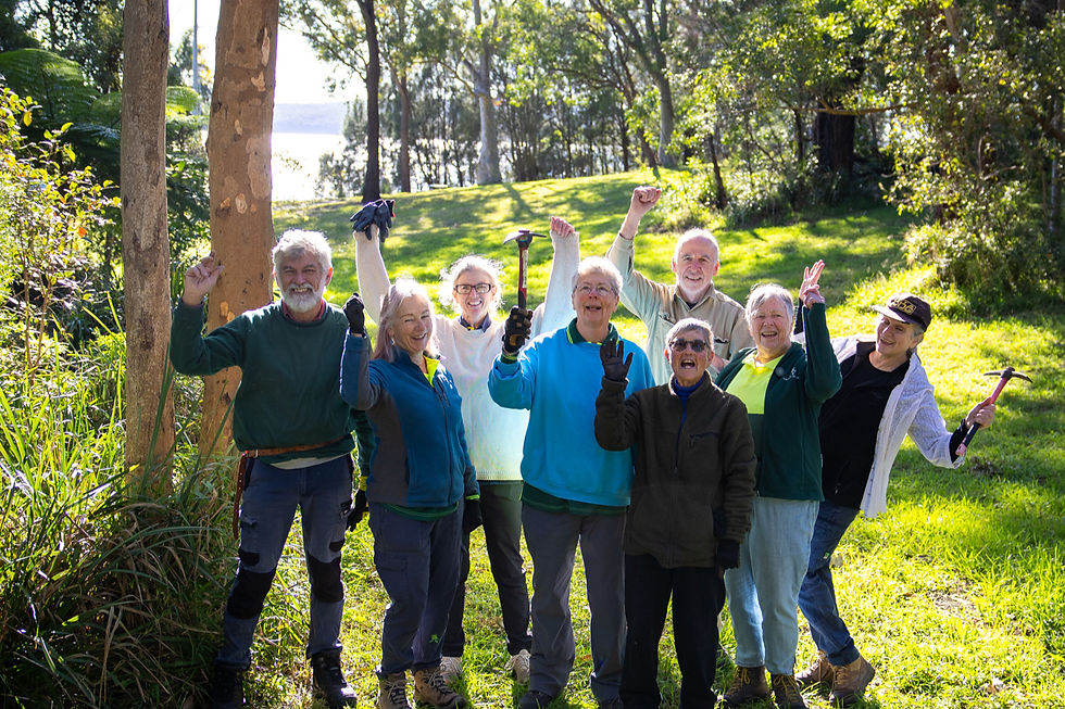 A group of joyful people stand in a sunny, wooded area, raising hands and tools. They're dressed in colorful outdoor clothing.