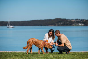 Lake Macquarie’s 10-year vision to go out on public exhibition