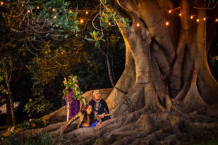 Shakespeare Under the Stars