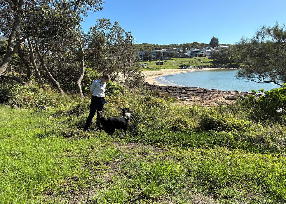 Person and black dog in grassy area near beach, clear blue sky, houses in background. Peaceful, natural setting.