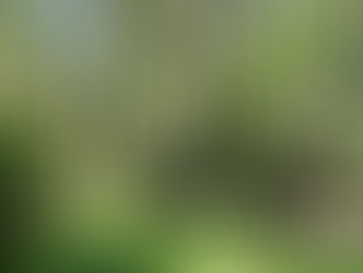 Hunter Wetlands Centre unveils upgraded Sensory Trail in time for school holidays!