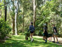 Hunter Wetlands Centre unveils upgraded Sensory Trail in time for school holidays!