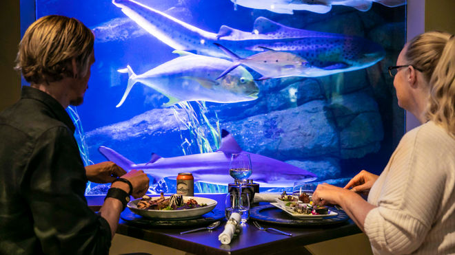 Jamala: Where the Wild Things Roam…