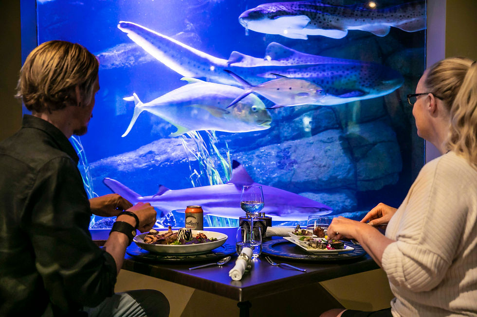 Two people dining by a large aquarium with various fish swimming. Plates of food and drinks on the table. Blue, aquatic ambiance.