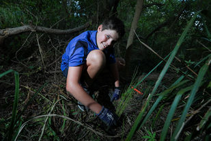 St Mary’s greenthumbs help grow future for Kennedy Creek