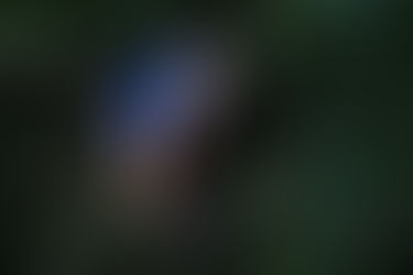 St Mary’s greenthumbs help grow future for Kennedy Creek