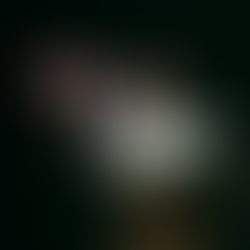 50th Jubilee Long Lunch at Briar Ridge Vineyard