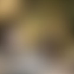 Signage to improve safety along the Fernleigh Track