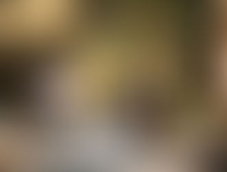 Signage to improve safety along the Fernleigh Track