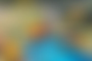 Mini-EV Challenge- A Fun Way to Develop Stem Skills for Hunter Students