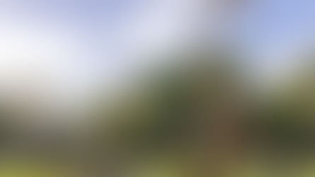 Dinosaurs, Dragons & Easter Magic