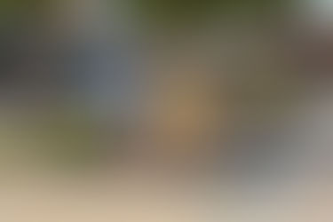 A Chance To Win New Wheels Just By Shopping At The Levee!