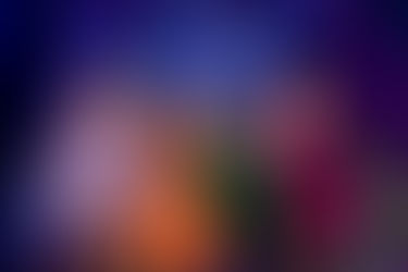 It's Time to Cut Loose, Newcastle