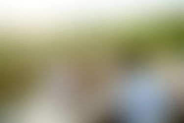 Sit Back, Sip and Savour