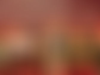 Newcastle in Full Colour: Seniors Festival 2026