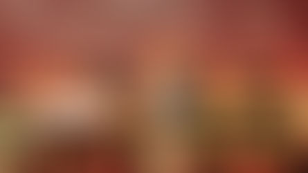 Newcastle in Full Colour: Seniors Festival 2026