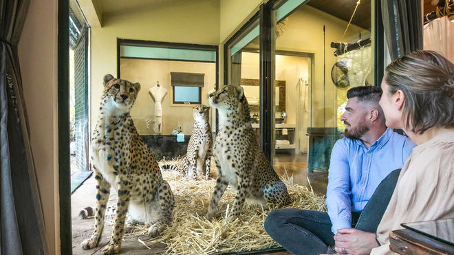 Wild at Heart A Night at Jamala Wildlife Lodge