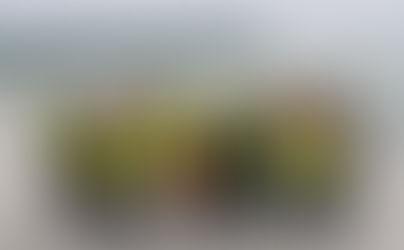 Swimmers to Return to Newcastle Ocean Baths