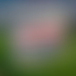 All Aboard for Hunter Valley Monopoly Game