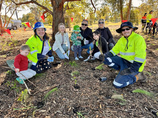 Many hands make light work to improve habitat on National Tree Day