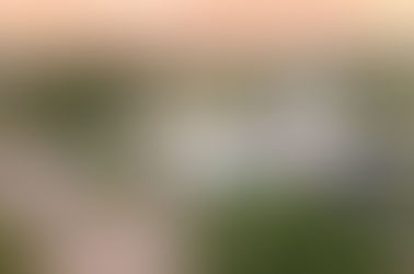 Bimbadgen: More Than Just a View