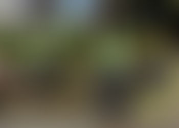 Have Your Say on Council's Facilities and Services