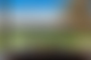 McGrath Rural: Global Connections Meet Hunter Valley Expertise