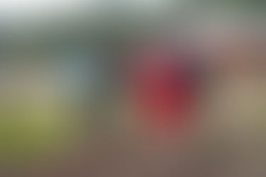 Council welcomes inquiry into post-mining land use