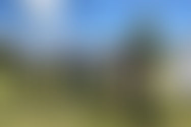 Revitalised Shoal Bay foreshore officially opened