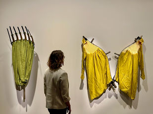 Maitland Regional Art Gallery Welcomes Winter with Six New Exhibitions