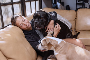 The Stay Foundation Launches Affordable Community Desexing Program for National Desexing Month