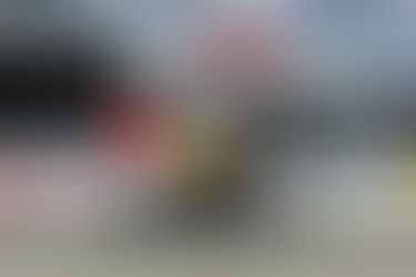 Hunter Business Delivers for Daffodil Day