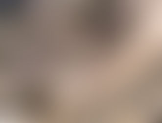 New Lambton landslip